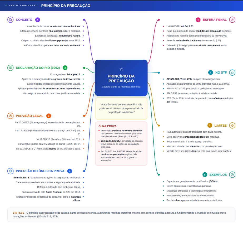 Mapa mental de Direito Ambiental: Princípio da Precaução